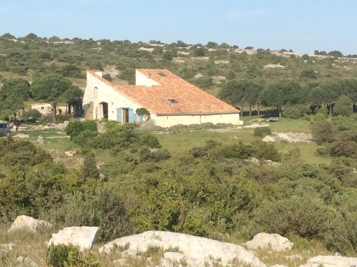 Roquefort-des-Corbières Domaine Castelsecヴィラ エクステリア 写真